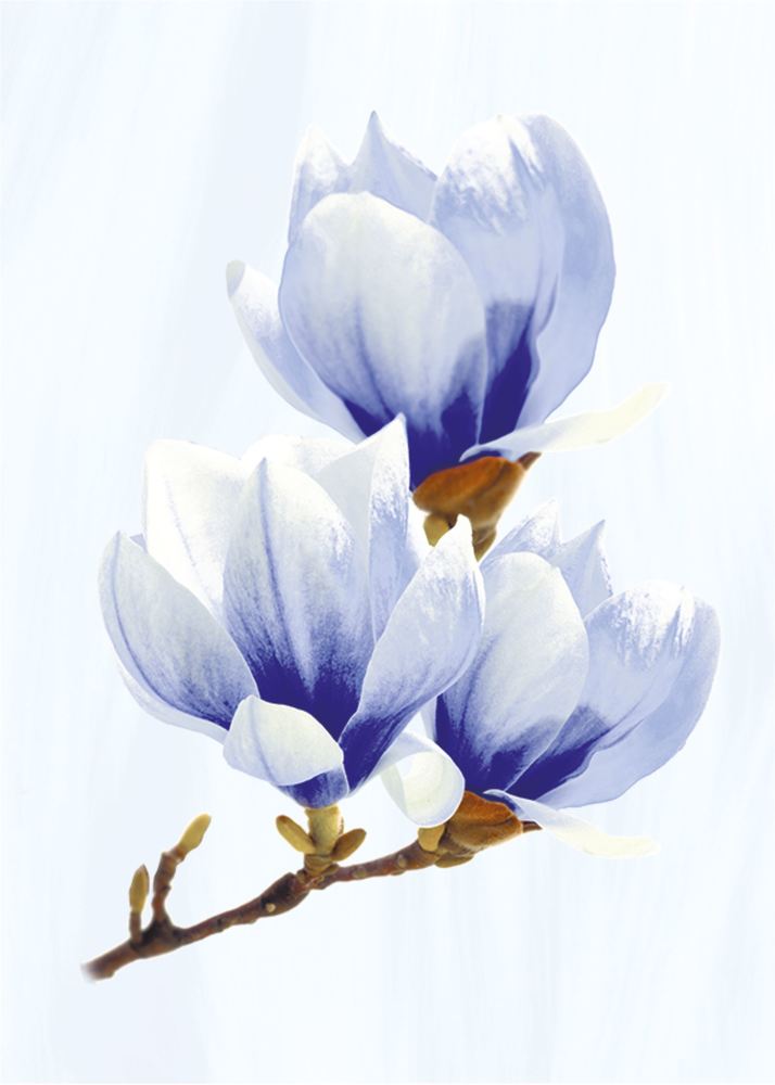 Агата голубая 250*350 Агата голубая 250*350