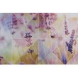 Романтика 200*300 рис.1