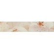 Сакура кор 250*400 рис.2